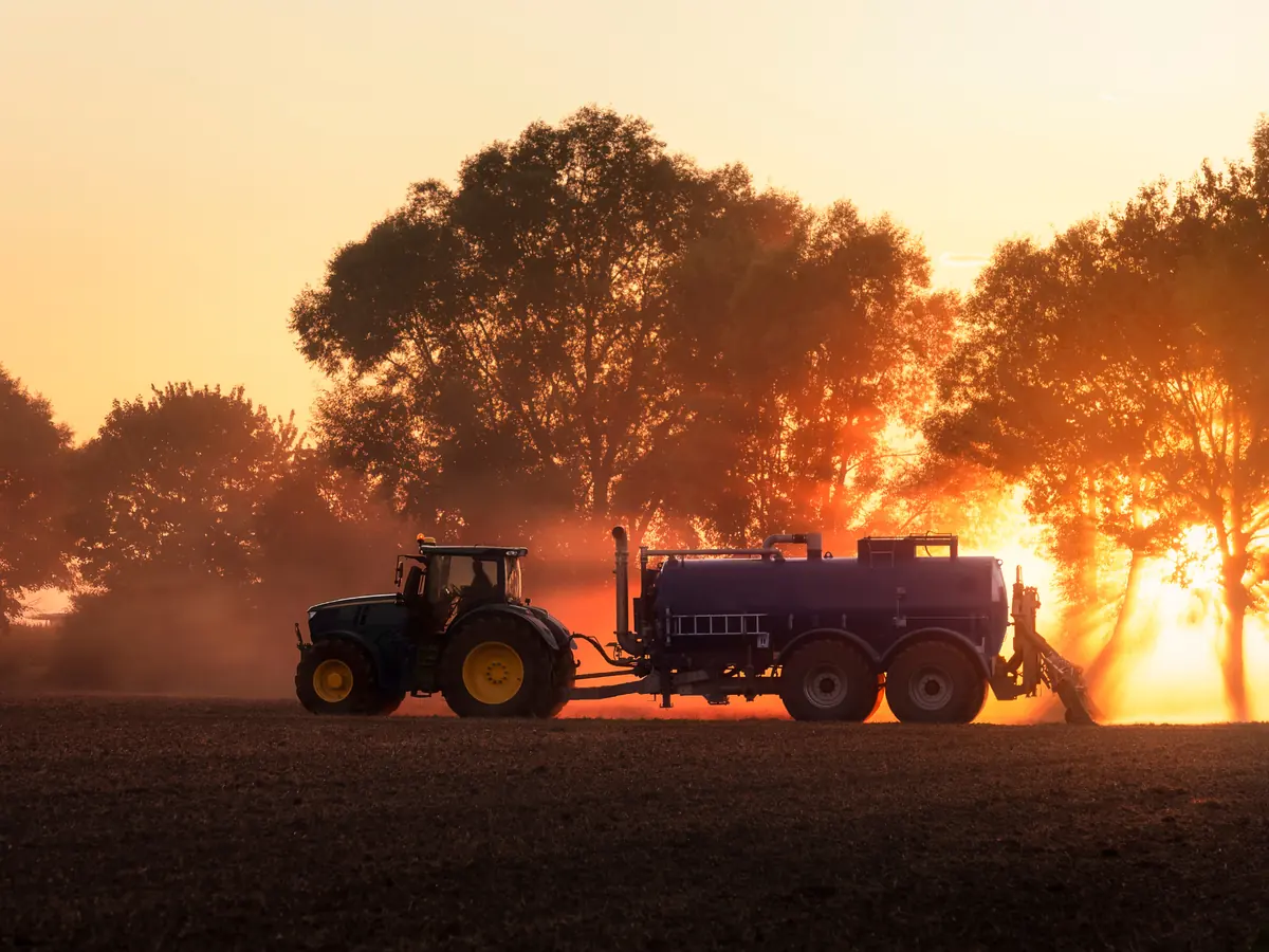 Harvester working an Australian crop at sunset