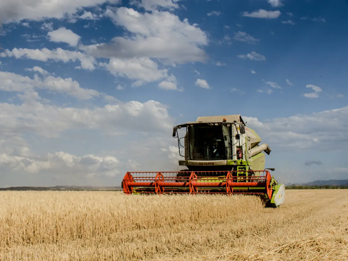 Harvester working an Australian crop at sunset