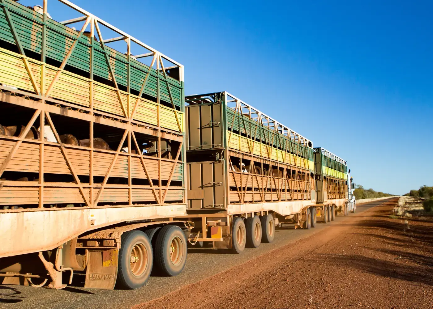 Road train and heavy haulage vehicles